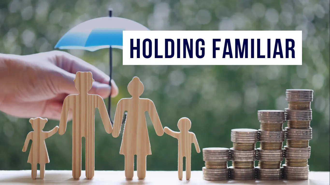 Capa do Artigo Holding Familiar: como funciona, vantagens e desvantagens do Cálculo Jurídico para Advogados