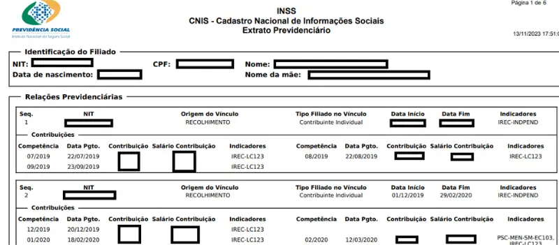 Exemplo de CNIS