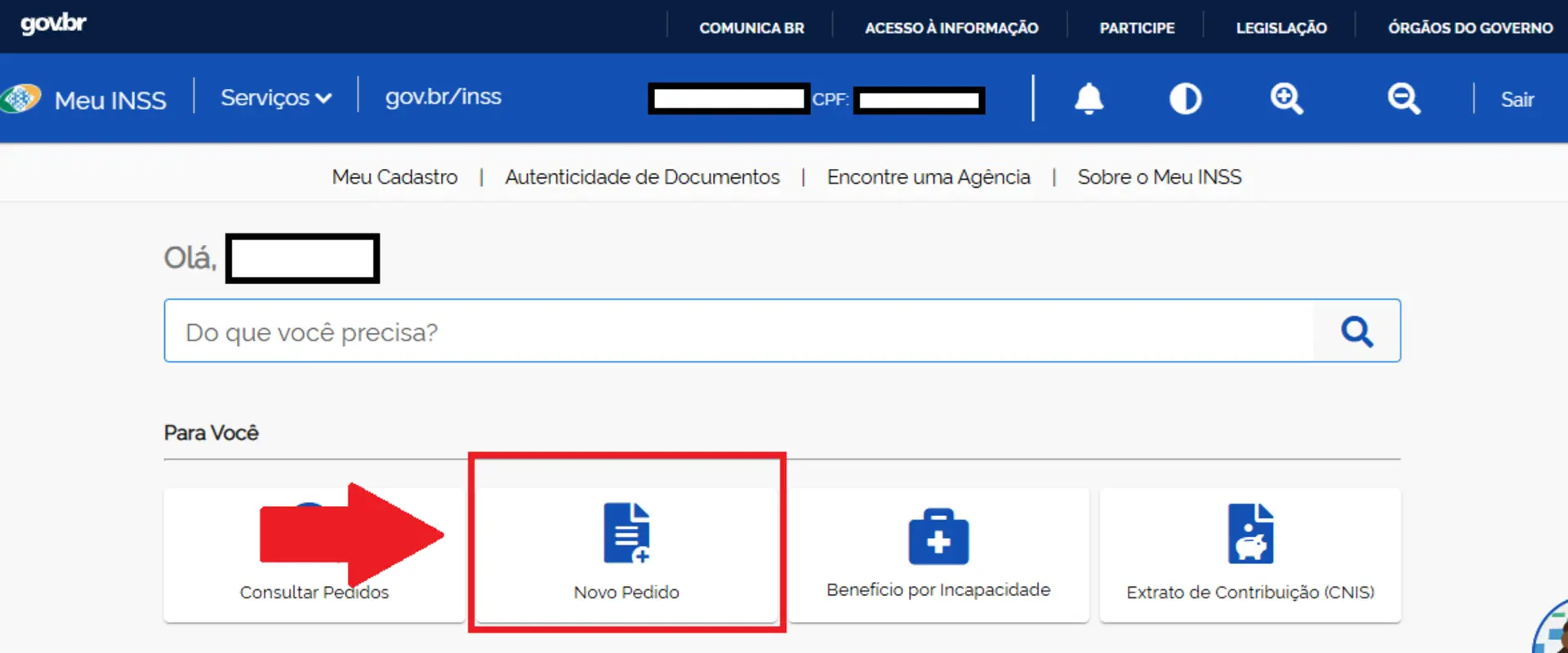 Meu INSS - Novo Pedido