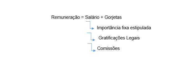 Remuneração explicacao esquematica de que e um salario